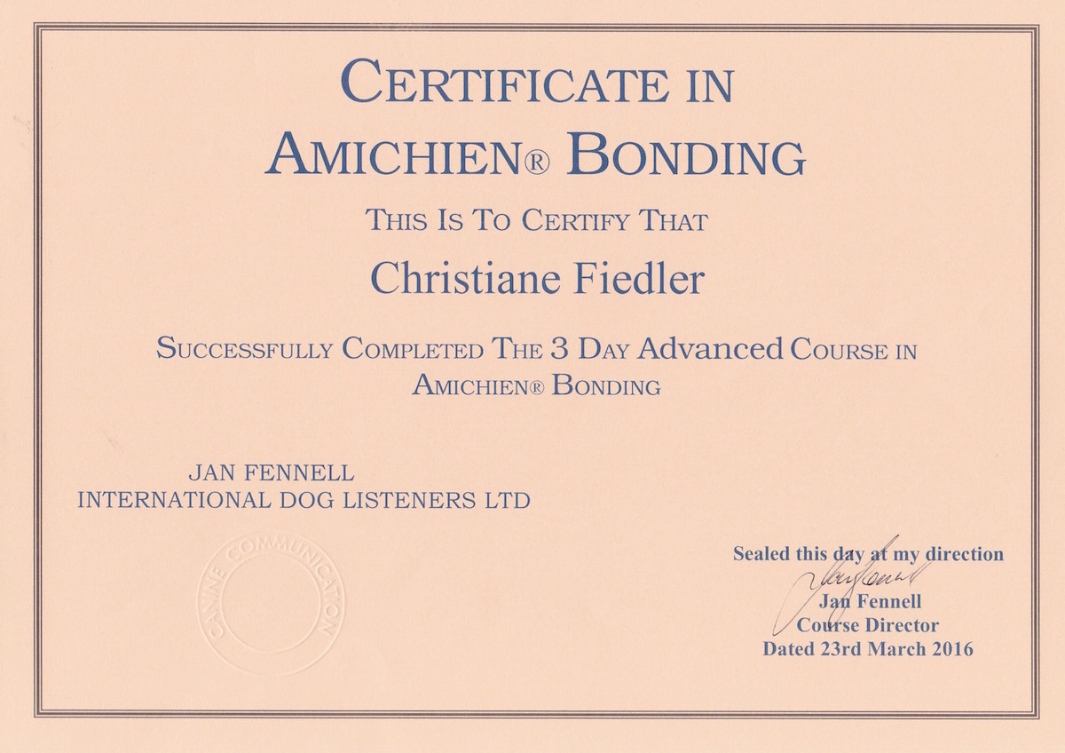 Certificate Advanced
